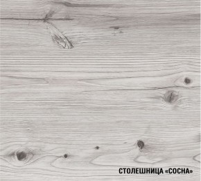 АСАЯ Кухонный гарнитур Экстра (3000 мм) в Тобольске - tobolsk.mebel-74.com | фото