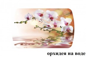 БОСТОН - 3 Стол раздвижной Орхидея на воде 1100/1420 опоры Триумф в Тобольске - tobolsk.mebel-74.com | фото