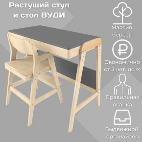 Комплект растущий стол и стул 38 попугаев «Вуди» (Серый, Без покрытия) в Тобольске - tobolsk.mebel-74.com | фото
