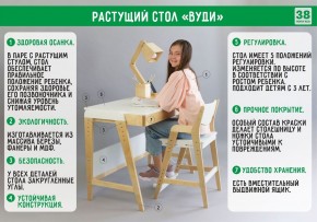 Комплект растущий стол и стул 38 попугаев «Вуди» (Серый, Без покрытия) в Тобольске - tobolsk.mebel-74.com | фото