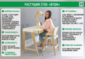 Комплект растущий стол и стул с чехлом 38 попугаев «Вуди» (Белый, Белый, Салют) в Тобольске - tobolsk.mebel-74.com | фото