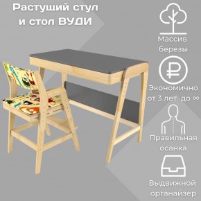 Комплект растущий стол и стул с чехлом 38 попугаев «Вуди» (Серый, Без покрытия, Монстры) в Тобольске - tobolsk.mebel-74.com | фото