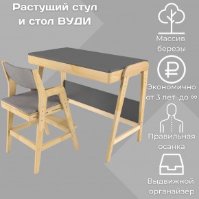 Комплект растущий стол и стул с чехлом 38 попугаев «Вуди» (Серый, Без покрытия, Серый) в Тобольске - tobolsk.mebel-74.com | фото