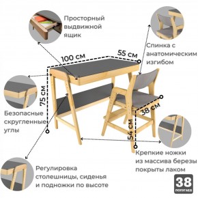 Комплект растущий стол и стул с чехлом 38 попугаев «Вуди» (Серый, Без покрытия, Серый) в Тобольске - tobolsk.mebel-74.com | фото