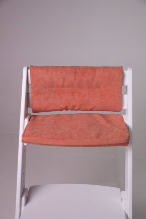 Комплект растущий стул и подушки Конёк Горбунёк Комфорт  (Белый, Терракота) в Тобольске - tobolsk.mebel-74.com | фото