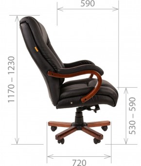 Кресло для руководителя CHAIRMAN  503 (Кожа) Черное в Тобольске - tobolsk.mebel-74.com | фото