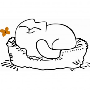 Кровать двухуровневая Кот № 900.1 ЛЕВАЯ (туя светлая/белый) в Тобольске - tobolsk.mebel-74.com | фото