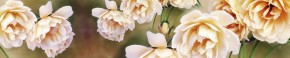 Кухонный фартук Цветы 066 МДФ матовый (3000) Flowers в Тобольске - tobolsk.mebel-74.com | фото