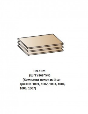 ПЛ-1021 (Комплект полок из 3 шт для ШК-1001, 1002, 1003, 1004, 1005, 1007) в Тобольске - tobolsk.mebel-74.com | фото