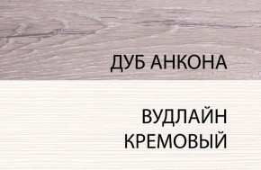 Шкаф 1DW, OLIVIA, цвет вудлайн крем/дуб анкона в Тобольске - tobolsk.mebel-74.com | фото