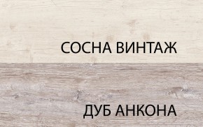 Шкаф 2D1S, MONAKO, цвет Сосна винтаж/дуб анкона в Тобольске - tobolsk.mebel-74.com | фото