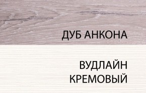 Шкаф 2DG, OLIVIA, цвет вудлайн крем/дуб анкона в Тобольске - tobolsk.mebel-74.com | фото