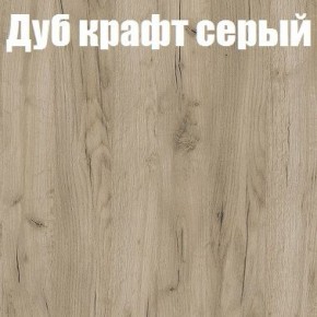 Шкаф-купе Эдем 1.5 (Дуб Крафт серый/Бетонный камень) двери ЛДСП в Тобольске - tobolsk.mebel-74.com | фото