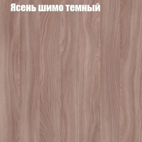 Шкаф-купе «ТАНДЕМ» 2-х дверный в алюминиевом профиле (Дверь К+К) 1200/h2200 в Тобольске - tobolsk.mebel-74.com | фото