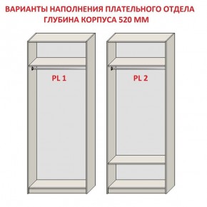 Шкаф распашной серия «ЗЕВС» (PL3/С1/PL2) в Тобольске - tobolsk.mebel-74.com | фото