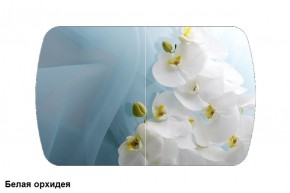 Стол Бостон 900*600 (опоры Брифинг) Стекло/фотопечать Белая Орхидея в Тобольске - tobolsk.mebel-74.com | фото