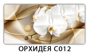 Стол раздвижной Трилогия с фотопечатью Доска D112 в Тобольске - tobolsk.mebel-74.com | фото